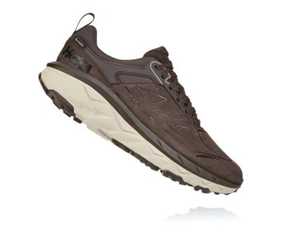 Trail Shoes Mens - Hoka One One Challenger Low GORE-TEX - Brown - CESYAZR-94